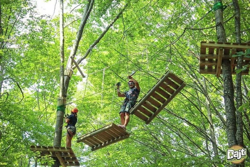 FROM TIRANA: Bovilla Lake & Gamti Mountain Hiking Trip - Price and Value: Why This $11 Trip Feels Like a Deal
