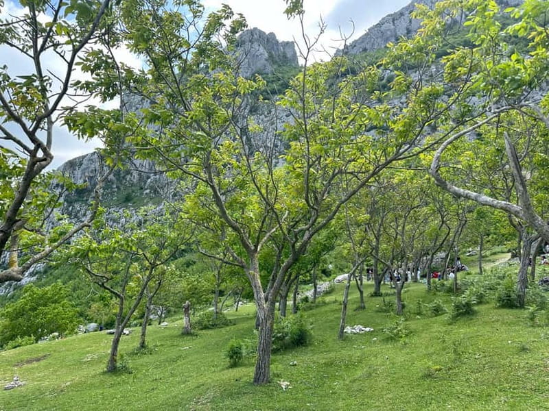 From Tirana: Bovilla Lake & Gamti Mountain Viewpoint Hike - Back toward the water: river swim below the dam (seasonal)