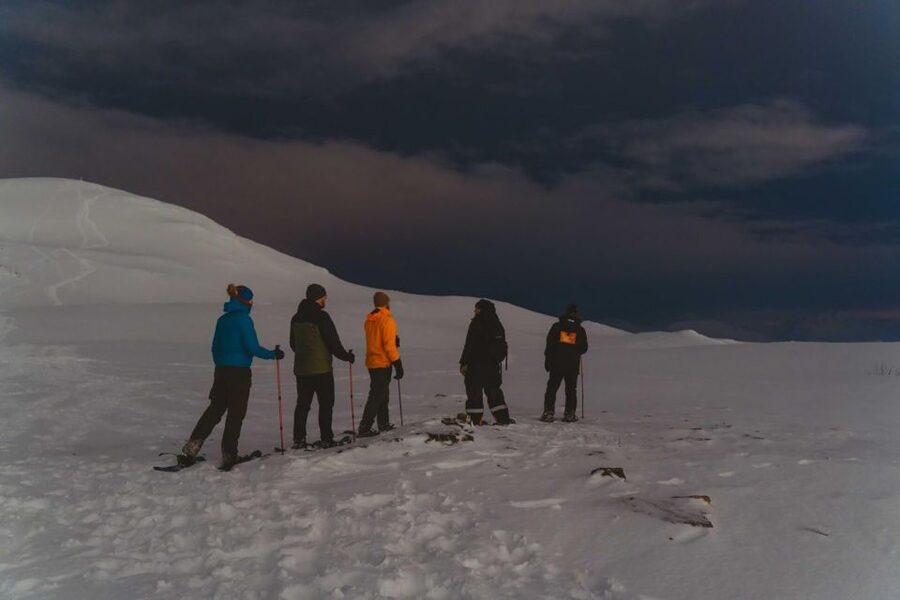 From Tromsø: Evening Fjellheisen Snowshoe Hike and Cable Car - Snowshoeing the aurora hunt: a first-timer-friendly walk