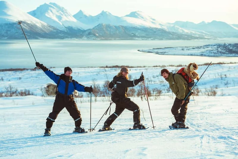 From Tromsø: Guided Husky Snowshoe Hike and Husky Camp Visit - Who Should Book (and Who Should Skip)
