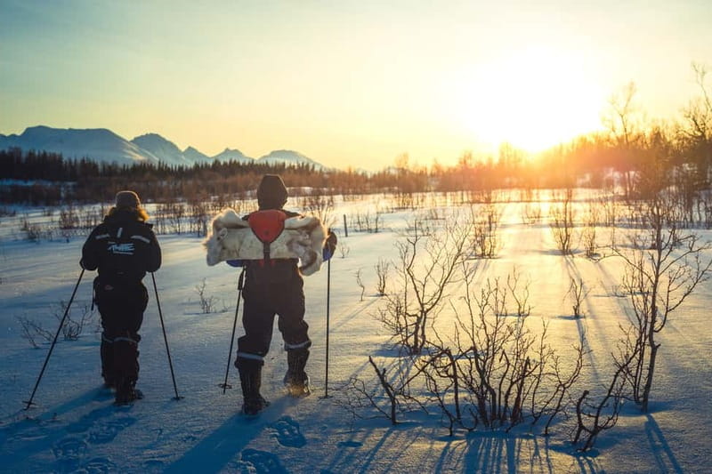 From Tromsø: Guided Husky Snowshoe Hike and Husky Camp Visit - To Kvaløya by Bus: Why This Location Matters