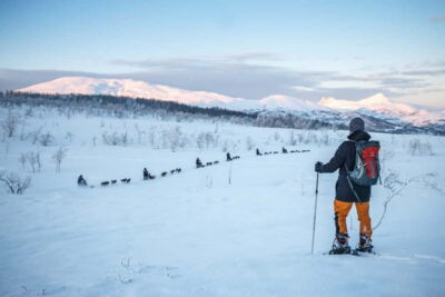 From Tromsø: Guided Husky Snowshoe Hike and Husky Camp Visit - Winter kit and snowshoe basics: you’ll get suited up fast