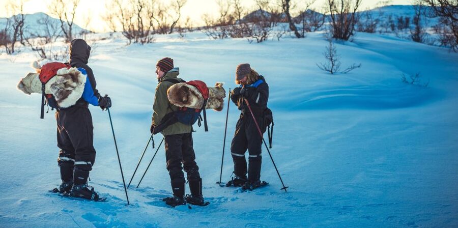 From Tromsø: Guided Husky Snowshoe Hike and Husky Camp Visit - When the Huskies Join You: A Working-Dog Experience