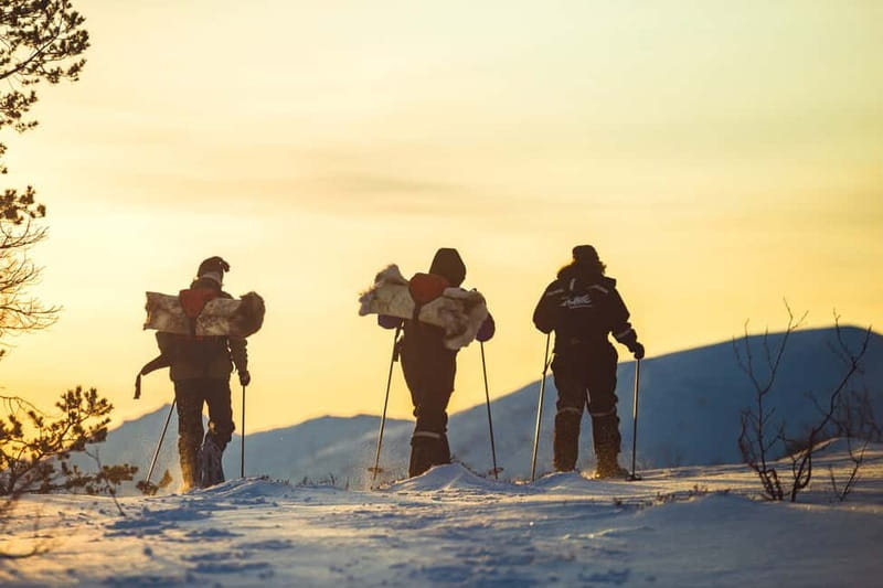 From Tromsø: Guided Husky Snowshoe Hike and Husky Camp Visit - Husky Camp Visit: Meeting Around 200 Dogs and Puppies