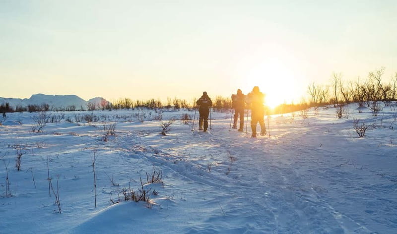 From Tromsø: Guided Husky Snowshoe Hike and Husky Camp Visit - Weather Reality: Rain or Shine in Tromsø Country