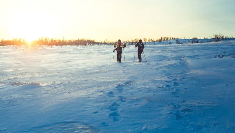 From Tromsø: Guided Husky Snowshoe Hike and Husky Camp Visit - Price and Value: Is $175 Worth Five Hours in the Arctic?