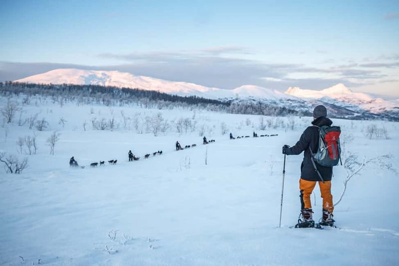 From Tromsø: Guided Husky Snowshoe Hike and Husky Camp Visit - Winter kit and snowshoe basics: you’ll get suited up fast