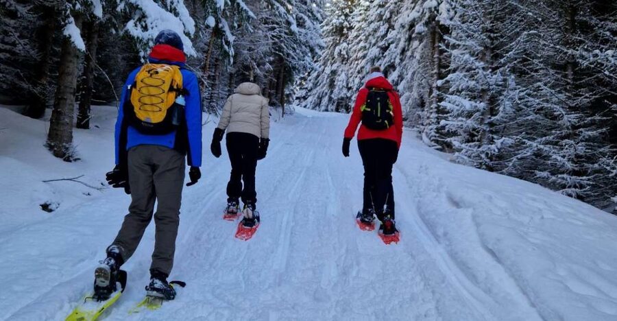 From Tromsø: Snowshoe Hike in the Arctic - Key takeaways before you go