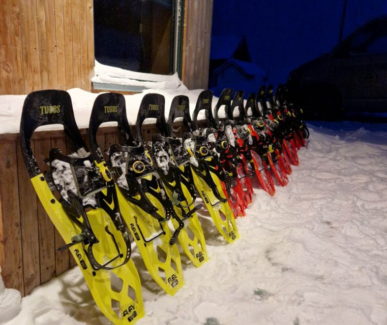From Tromsø: Snowshoe Hike in the Arctic - The best warm-up moment: hot drink, snacks, and a summit pause