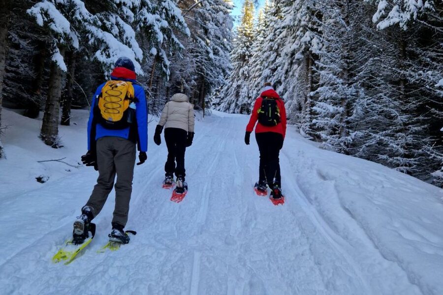 From Tromsø: Snowshoe Hike in the Arctic - Meeting at Clarion Hotel The Edge (and not missing the van)