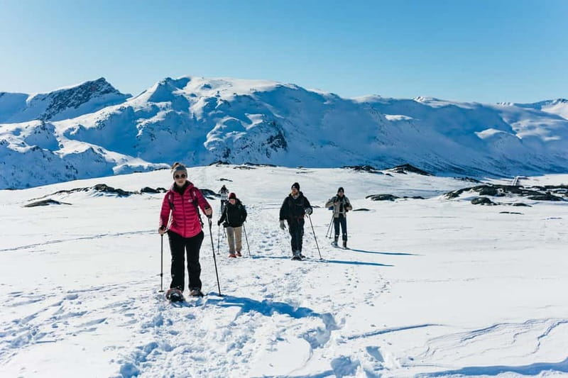 From Tromsø: Snowshoeing Hike with Picnic Lunch and Photos - Key Highlights to Know Before You Go