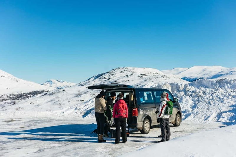 From Tromsø: Snowshoeing Hike with Picnic Lunch and Photos - Should You Book This Tromsø Snowshoeing With Picnic Tour?