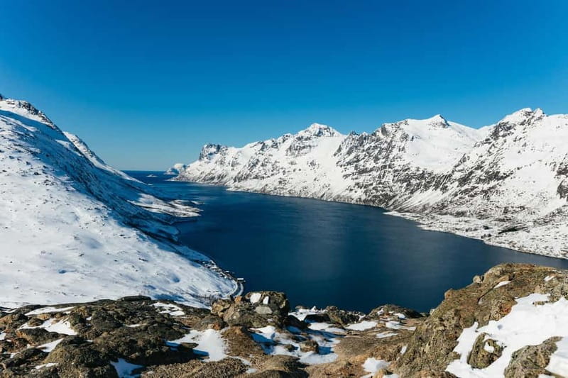 From Tromsø: Snowshoeing Hike with Picnic Lunch and Photos - Why This Tromsø Snowshoe Picnic Tour Feels Worth It