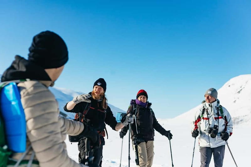 From Tromsø: Snowshoeing Hike with Picnic Lunch and Photos - The Snowshoe Hike Up a Small Mountain: Pace, Views, and Wildlife Spotting