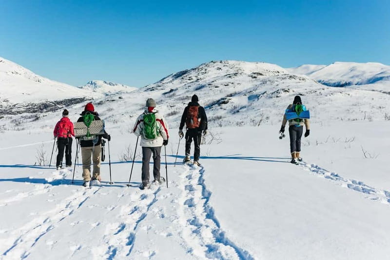 From Tromsø: Snowshoeing Hike with Picnic Lunch and Photos - Gear and Warmth: What You Get vs. What You Must Bring