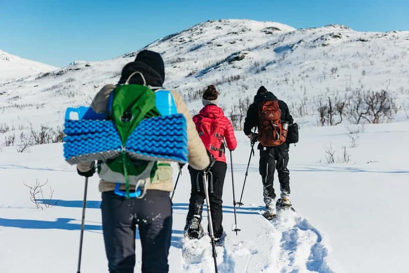 From Tromsø: Snowshoeing Hike with Picnic Lunch and Photos - Price and Value: Is $141 for 4 Hours Actually a Good Deal?