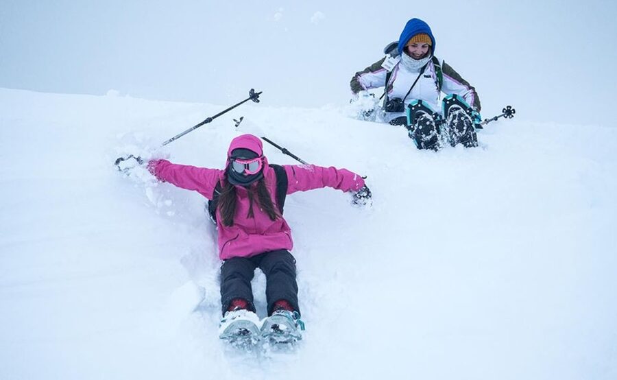 From Tromsø: Snowshoeing Hike with Picnic Lunch and Photos - Who This Tour Fits Best (and Who Should Skip It)