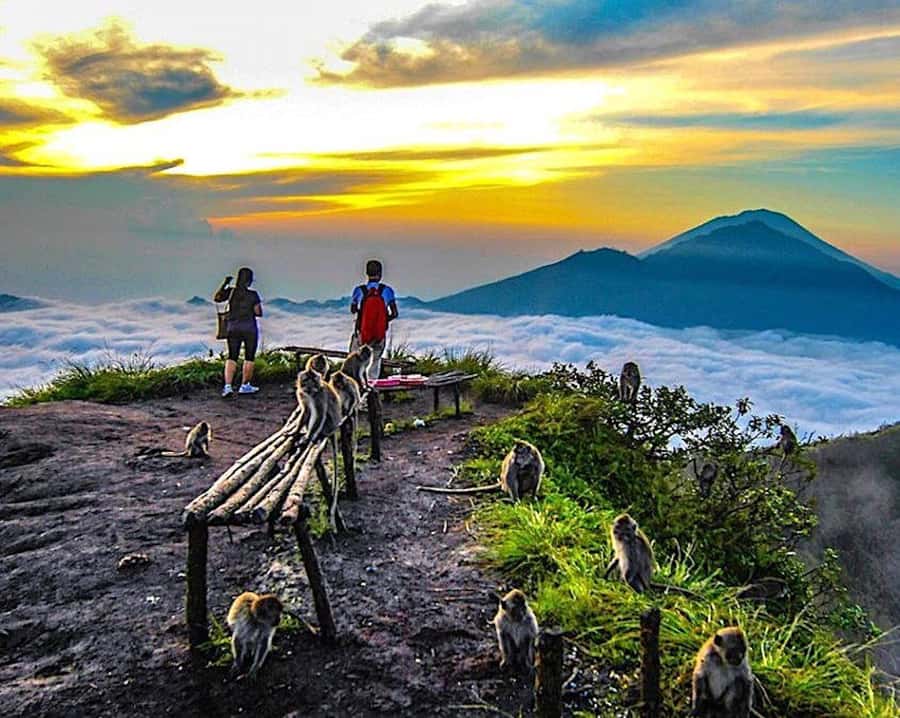 From Ubud: Mount Batur Hiking - Optional Coffee Plantation Stop: Testing Bali’s Famous Brews