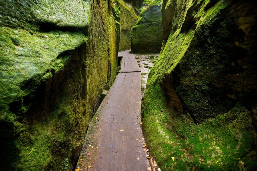 From Wroclaw: Hiking Trail in Rock City Adrspach - Climb Higher for Panoramic Views: Choose Your Effort