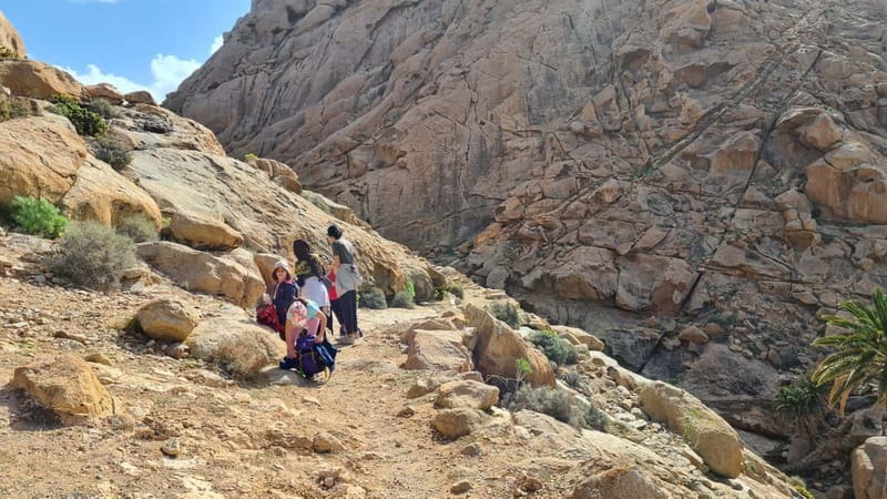 Fuerteventura: Ajuy Caves & hike to secret Las Penitas Arco - Wildlife and a Steady Pace: Why Bas/Baz Makes This Tour Feel Easier