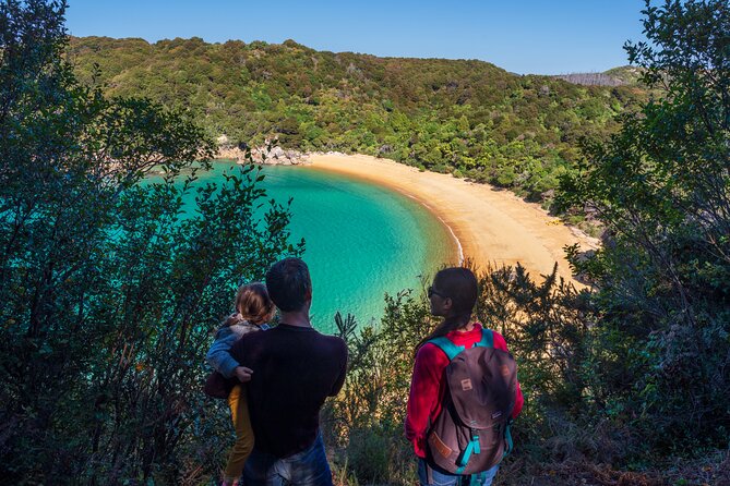 Full-Day Abel Tasman National Park Hiking Tour with Cruise - Key highlights that make this day tour click