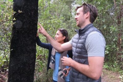 Full-Day Abel Tasman National Park Hiking Tour with Cruise - The water-taxi cruise: calm cruise time with wildlife and coastline views