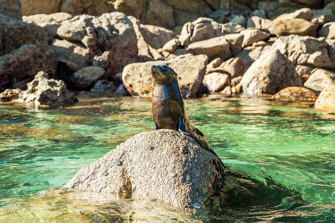 Full-Day Abel Tasman National Park Hiking Tour with Cruise - Price reality check: what $371.72 covers and when it’s worth it
