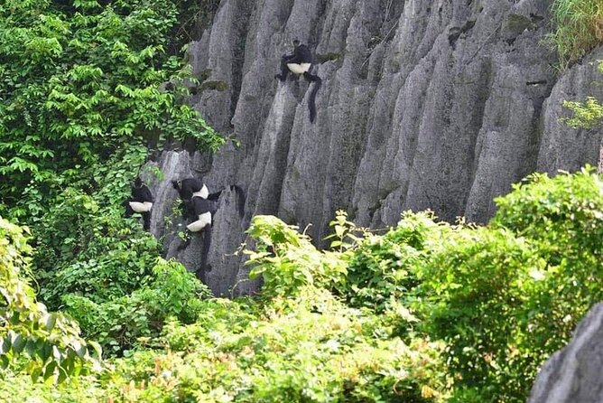 Full-Day Cuc Phuong National Park Hiking Tour - A Ninh Binh countryside drive that sets the tone