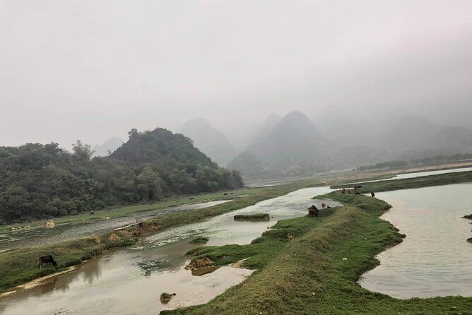Full-Day Cuc Phuong National Park Hiking Tour - Timing, pacing, and the rainy-day reality