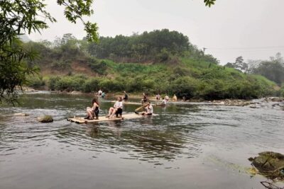 Full-Day Cuc Phuong National Park Hiking Tour - Forest walking: the ancient tree and the prehistoric cave