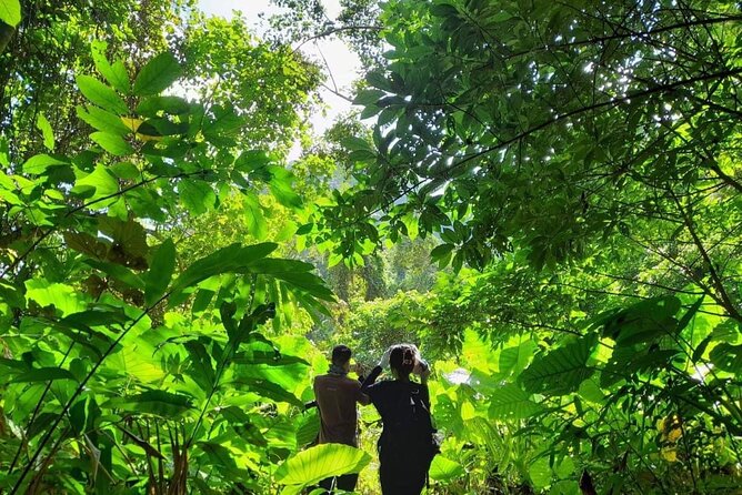 Full-Day Cuc Phuong National Park Hiking Tour - What kind of traveler should book this?
