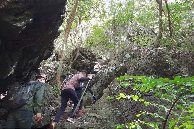 Full-Day Cuc Phuong National Park Hiking Tour - Should you book the Full-Day Cuc Phuong Hiking Tour?
