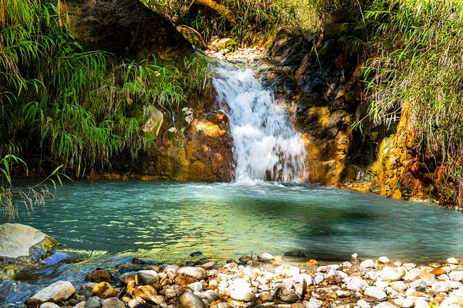 Full Day Hike Tour from Dominica - Stop 2: Titou Gorge Slot Canyon Swim With Life Jackets and a Waterfall Finish