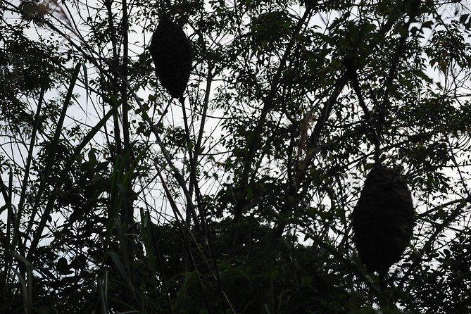 Full day hikes, Cycles, Kayaks & swims in Cat Ba National park - Getting started: pickup at 8:00 and the park entrance