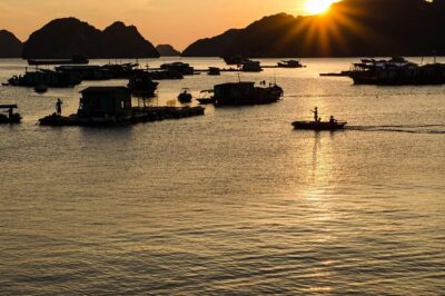 Full day hikes, Cycles, Kayaks & swims in Cat Ba National park - Cat Ba National Park trek: butterflies, climbs, and not always the big views