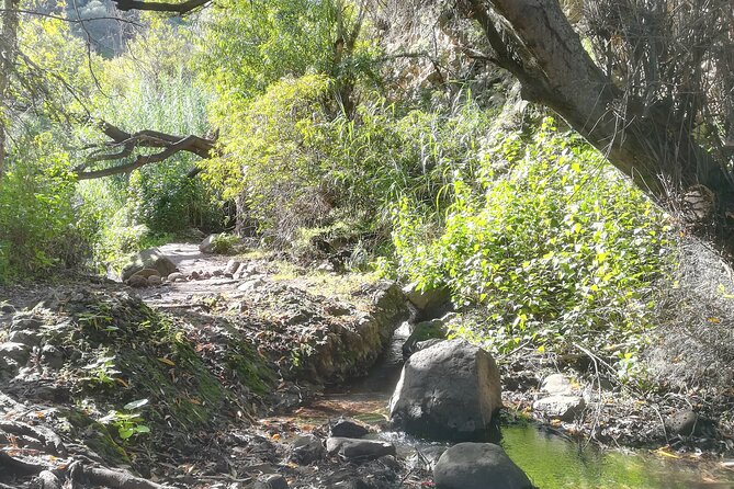 Full day Hiking and Waterfalls Experience - Key moments you’ll feel in your legs