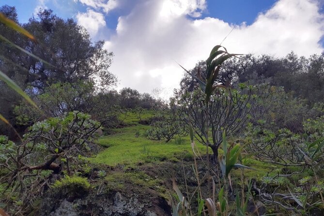 Full day Hiking and Waterfalls Experience - Morning start at 9:00 and how the day flows