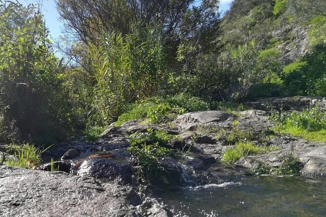 Full day Hiking and Waterfalls Experience - Safety and comfort: shoes, clothing, and the narrow sections