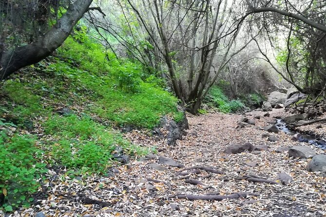 Full day Hiking and Waterfalls Experience - The hike route: tracking microclimate to reach waterfalls