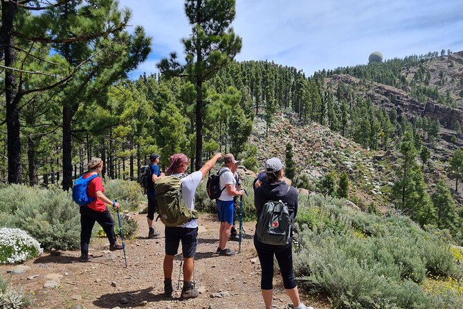 Full day Hiking Gran Canaria Peaks of Gran Canaria - Why the Peaks of Gran Canaria hike feels different