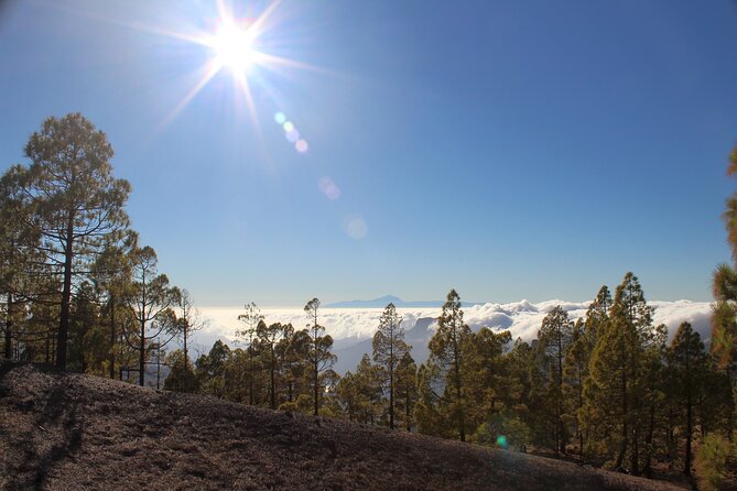 Full day Hiking Gran Canaria Peaks of Gran Canaria - Route options: Pico de las Nieves area, Roque Nublo, and possible Teide