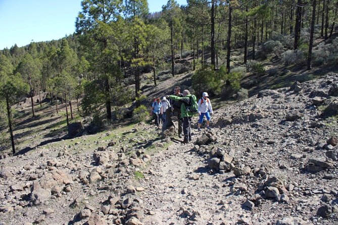 Full day Hiking Gran Canaria Peaks of Gran Canaria - Price and value: what $84.66 gets you in real terms