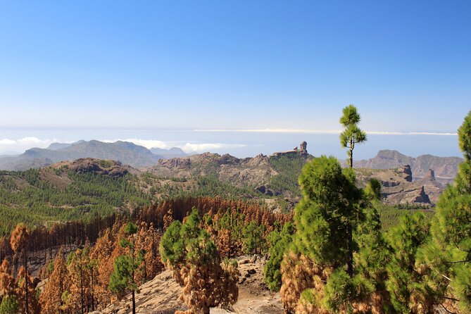 Full day Hiking Gran Canaria Peaks of Gran Canaria - On the trail: distance, pace, breaks, and what the hike feels like