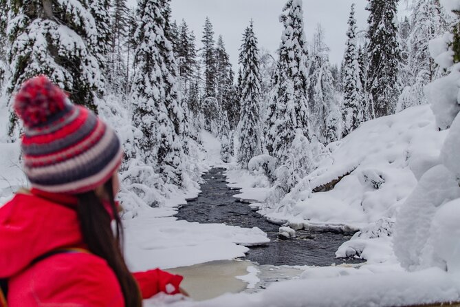 Full Day Hiking to Korouoma Canyon & Frozen Waterfalls - Cold-weather reality check: what -30°C teaches you