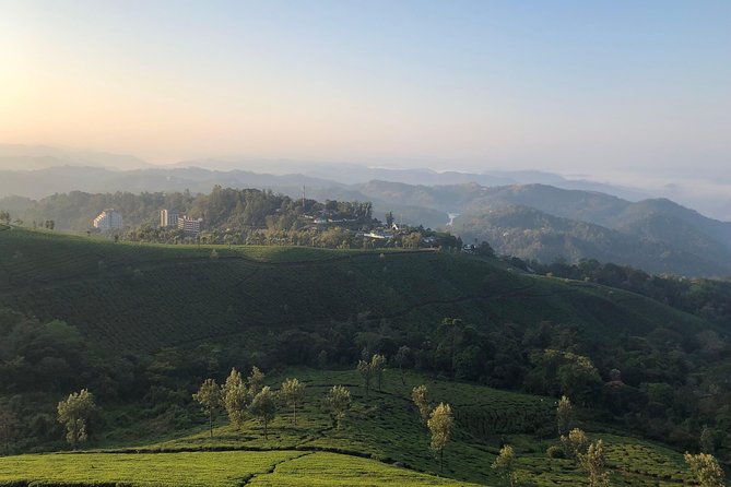 Full day in hiking in Munnar (By Munnar Info) - A full-day Munnar hike that doesn’t feel like a solo mission