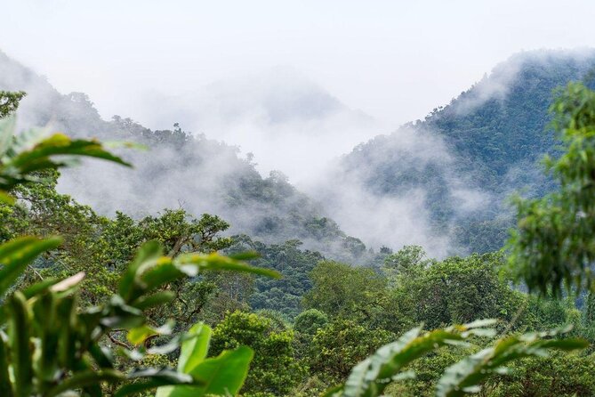 Full-Day Mindo Cloud Forest Tour Birdwatching Waterfalls and Hike - Key points before you go