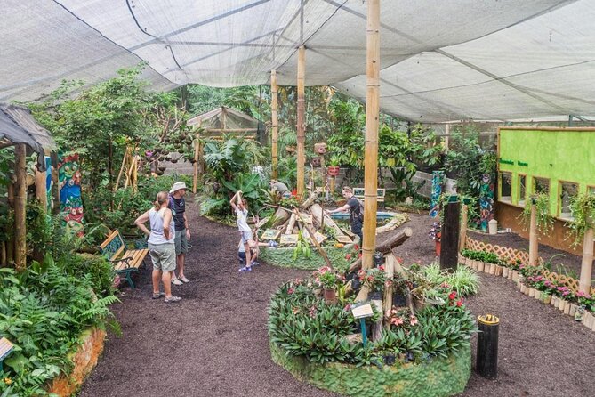 Full-Day Mindo Cloud Forest Tour Birdwatching Waterfalls and Hike - Price and value: is $189 fair for a private wildlife + waterfall day?
