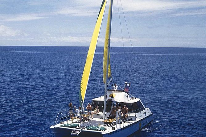Full Day Oahu Bike, Hike, Sail and Snorkel Combo - Lunch, Snacks, and Break Time: A Day With More Breathing Room Than You Think