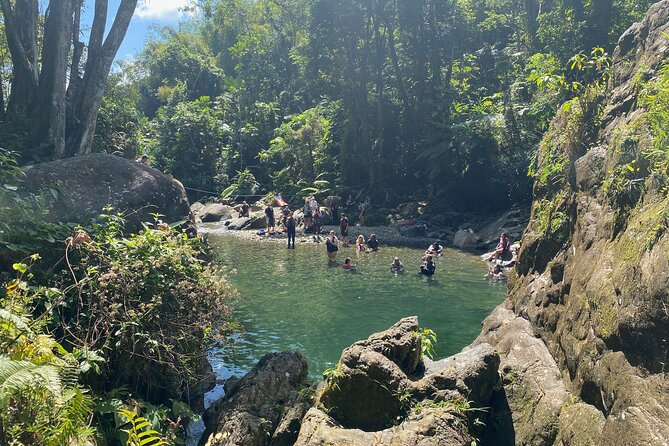 Full-Day Tinajas Hiking to El Yunque Rainforest with Transport - San Juan to El Yunque: The Day’s Best Feature Is How Easy It Starts