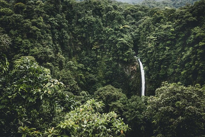Full Day Tour with Safari Float, Waterfall and Volcano Hike - Key points worth knowing